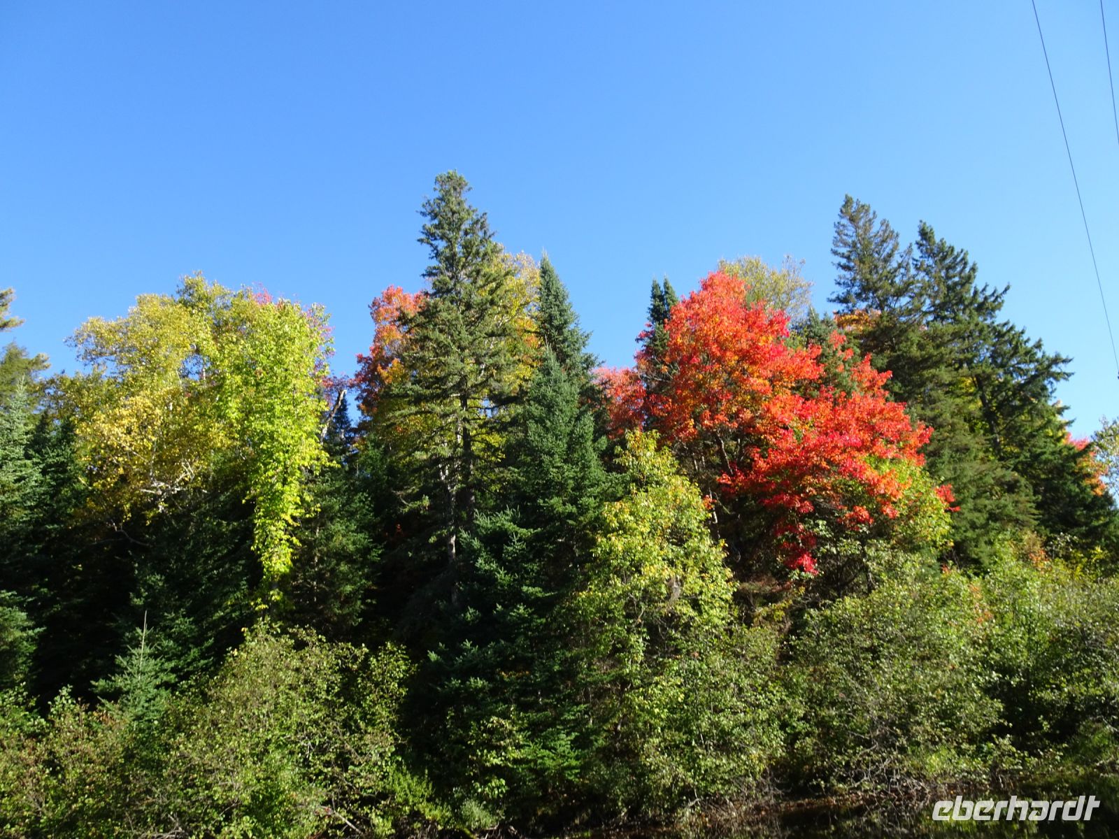 Kanutour Algonquin Provinzial Park 