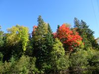 Kanutour Algonquin Provinzial Park 