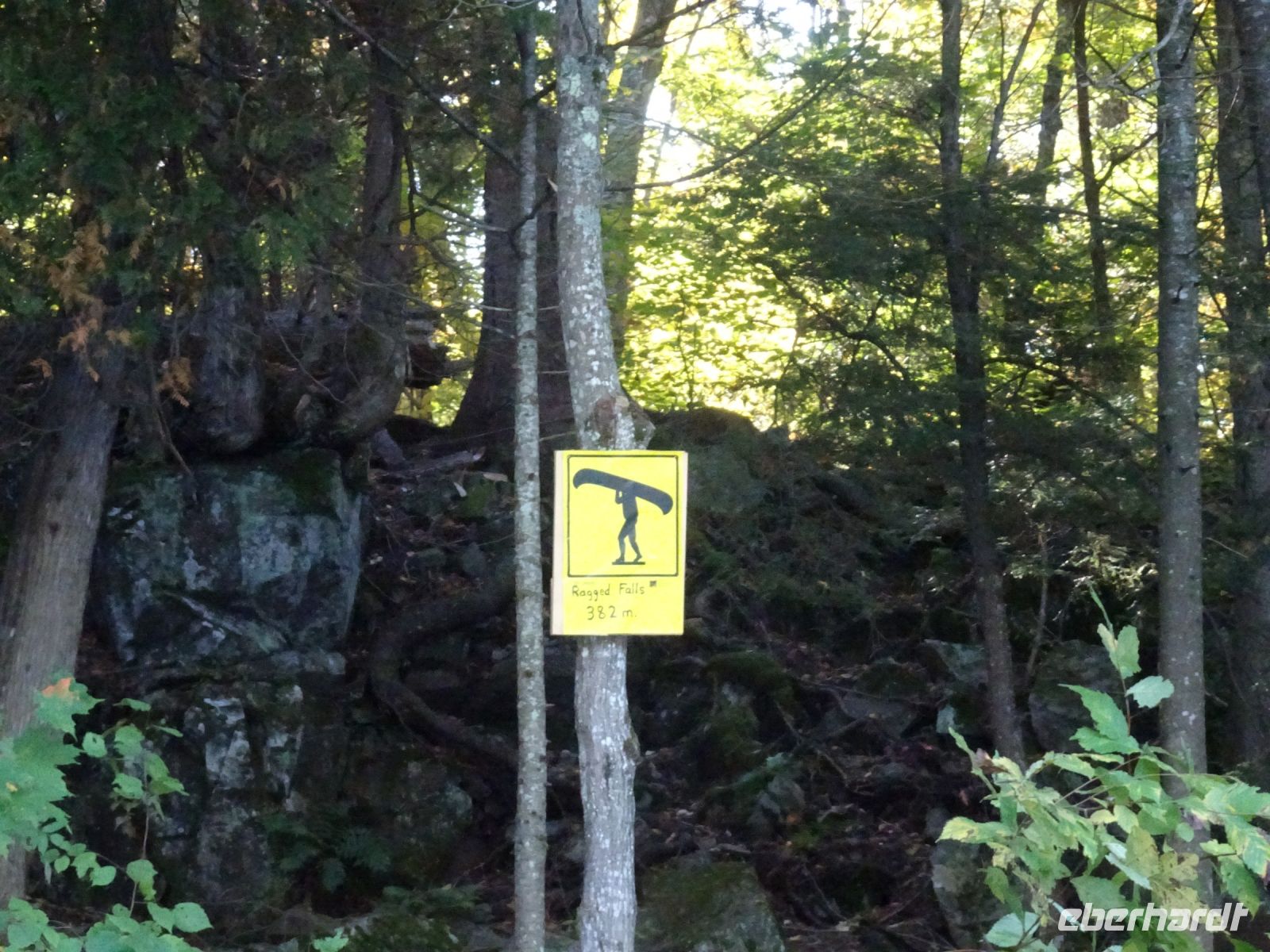 Kanutour Algonquin Provinzial Park 