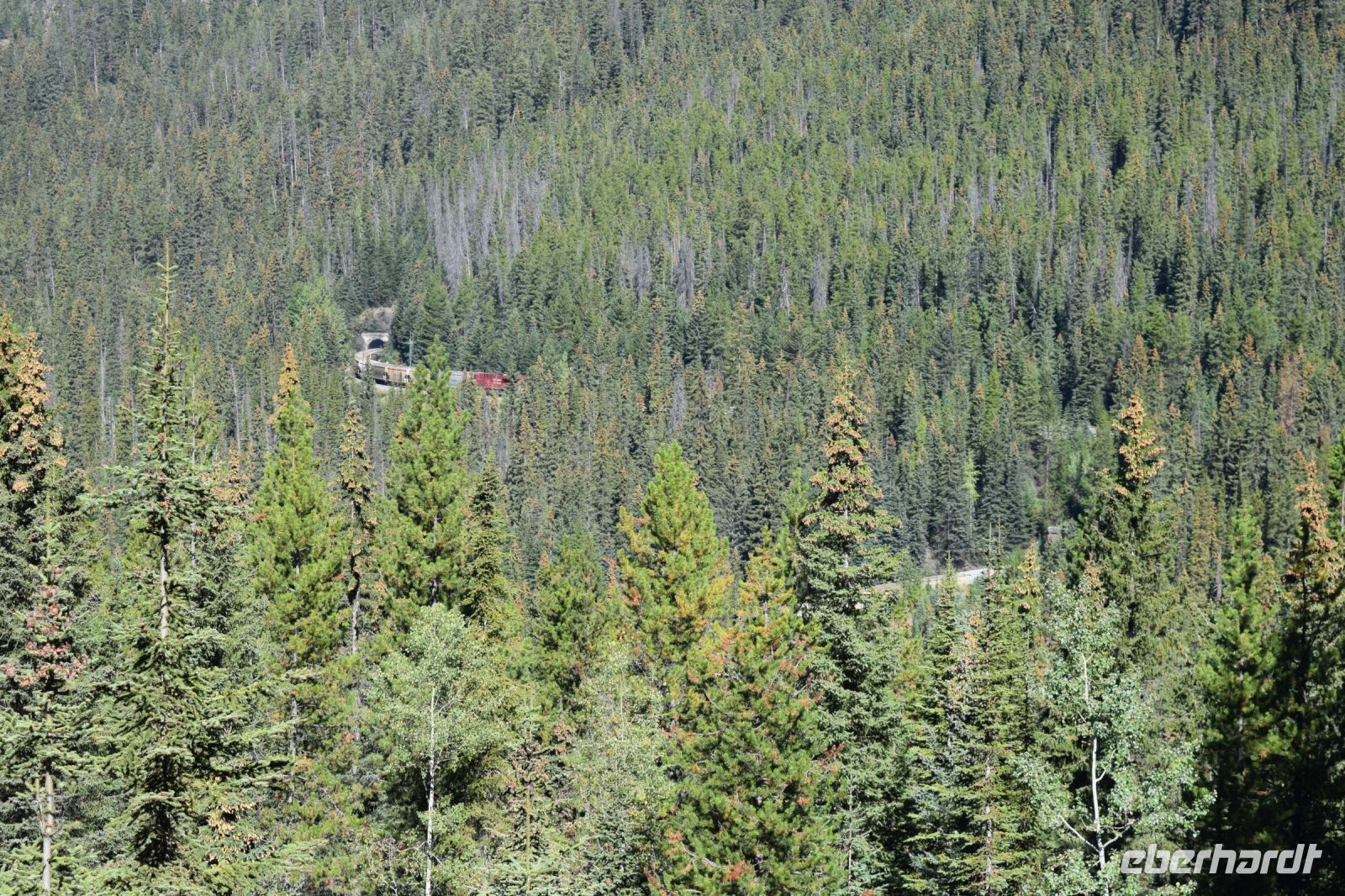 Anfang und Ende eines Güterzuges stecken in den beiden Spiraltunneln