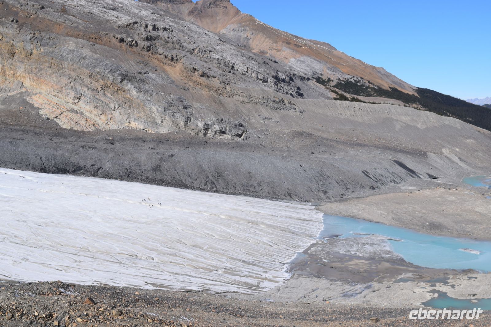 Am Columbia Icefield