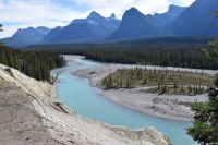 Der Athabasca-River sucht sich immer wieder ein neues Flussbett