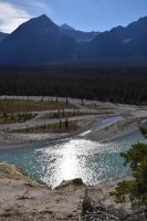 Viel Geröll im Athabasca-River