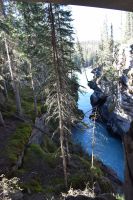 Athabasca Falls