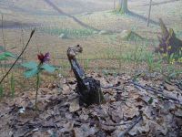 Algonquin Besucherzentrum 