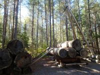 Algonquin Holzfäller Museum 