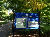 Ottawa  - Residenz des Königs von Kanada 