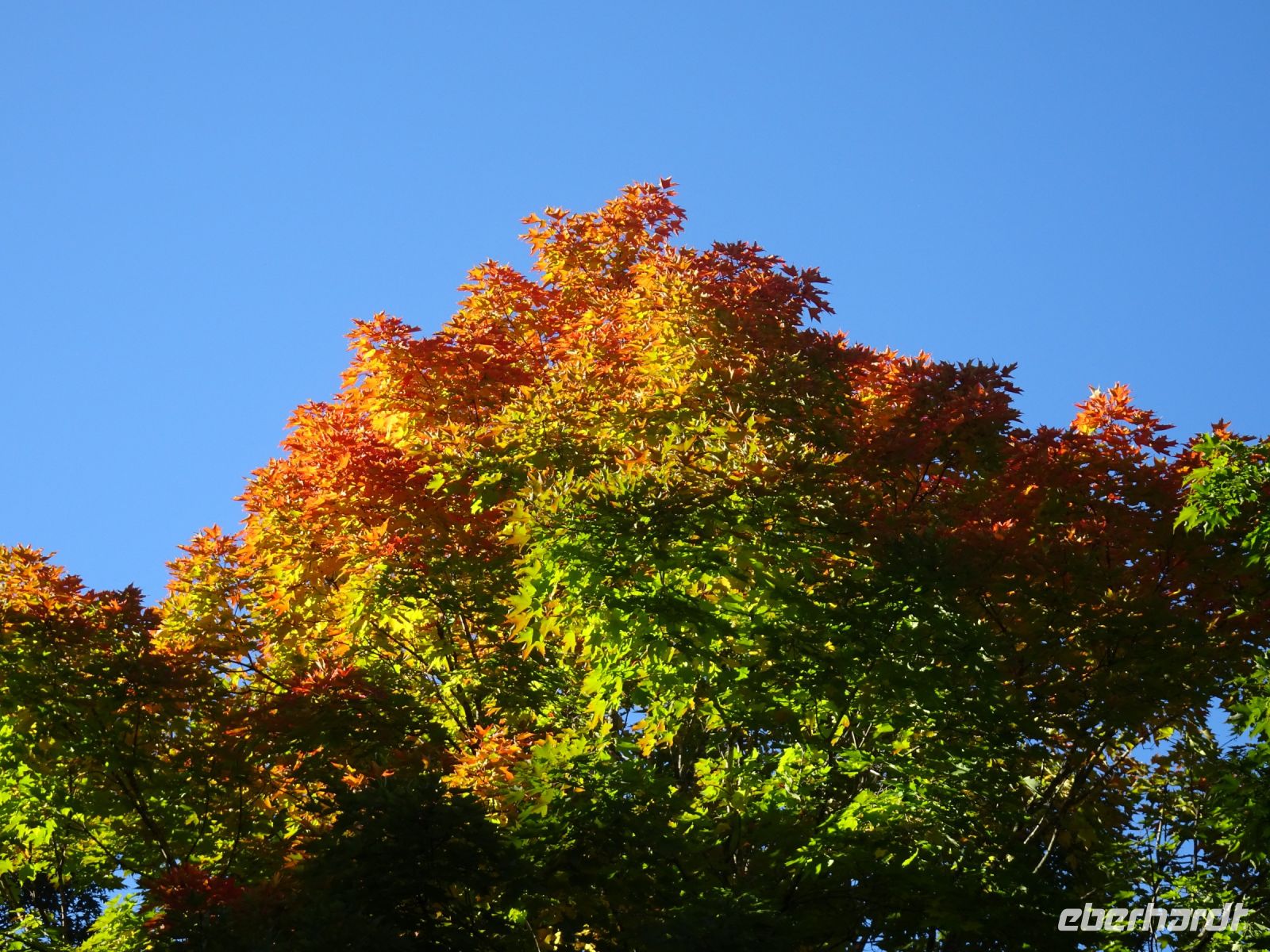 Ottawa - Indian Summer 