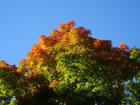 Ottawa - Indian Summer 