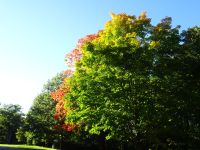 Ottawa - Indian Summer 