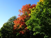 Ottawa - Indian Summer 