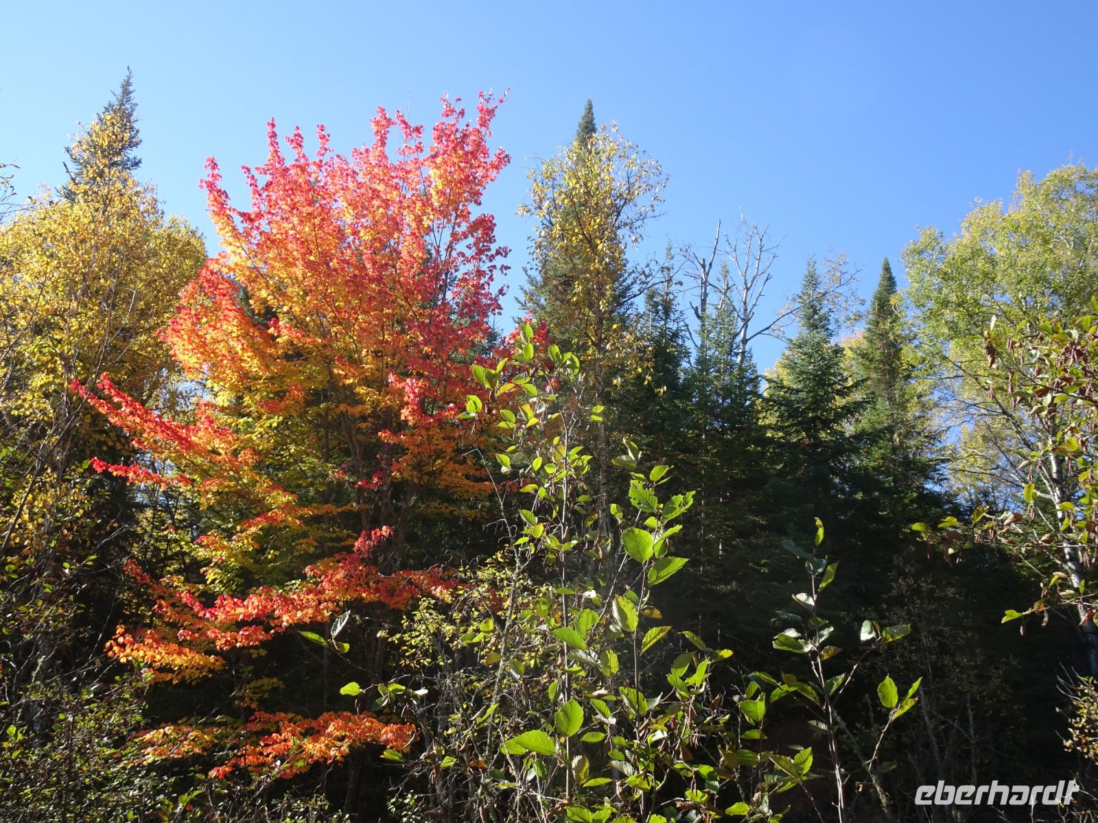 Lac Taureau - Kanada