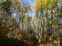 Lac Taureau - Kanada