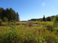 Lac Taureau - Kanada