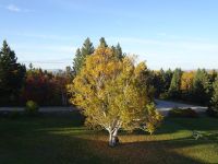 Indian Summer - Kanada