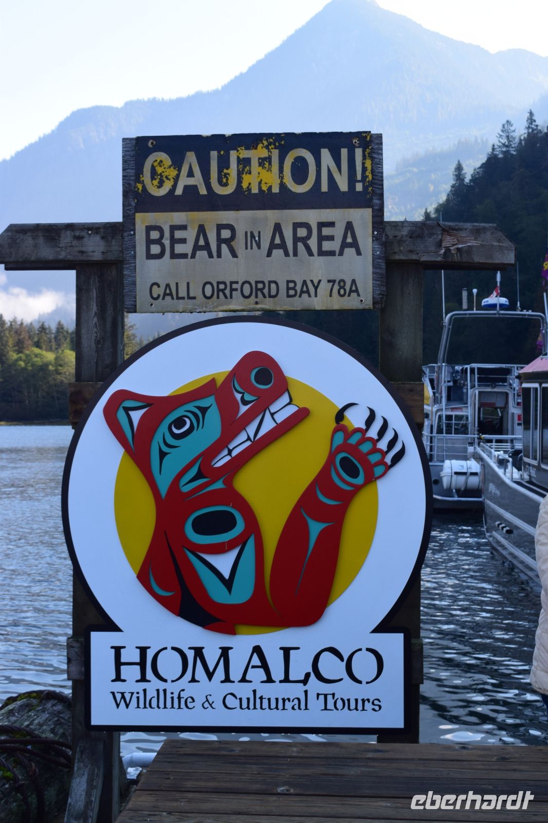 im Gebiet des Homalco-Volkes beobachten wir Grizzlys 