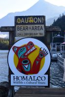 im Gebiet des Homalco-Volkes beobachten wir Grizzlys 