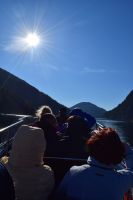 Auf der Rückreise nach Cape Mudge