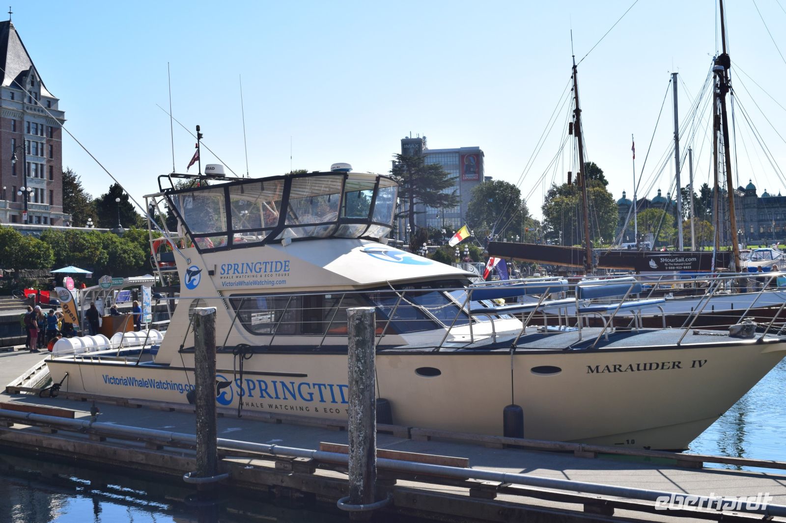 Unser Schiff für die Walbeobachtung