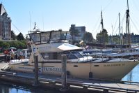 Unser Schiff für die Walbeobachtung