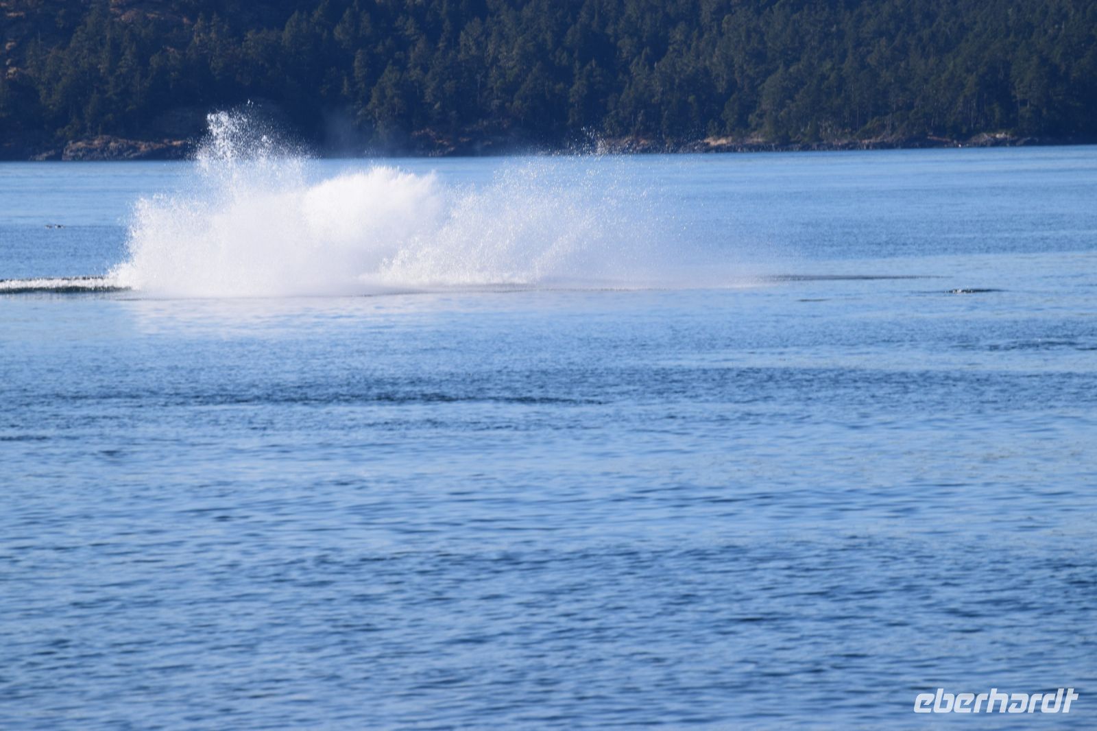 leider verpasst, nur den Aufprall auf das Wasser