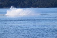 leider verpasst, nur den Aufprall auf das Wasser