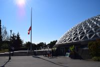 Queen Elizabeth Park in Vancouver