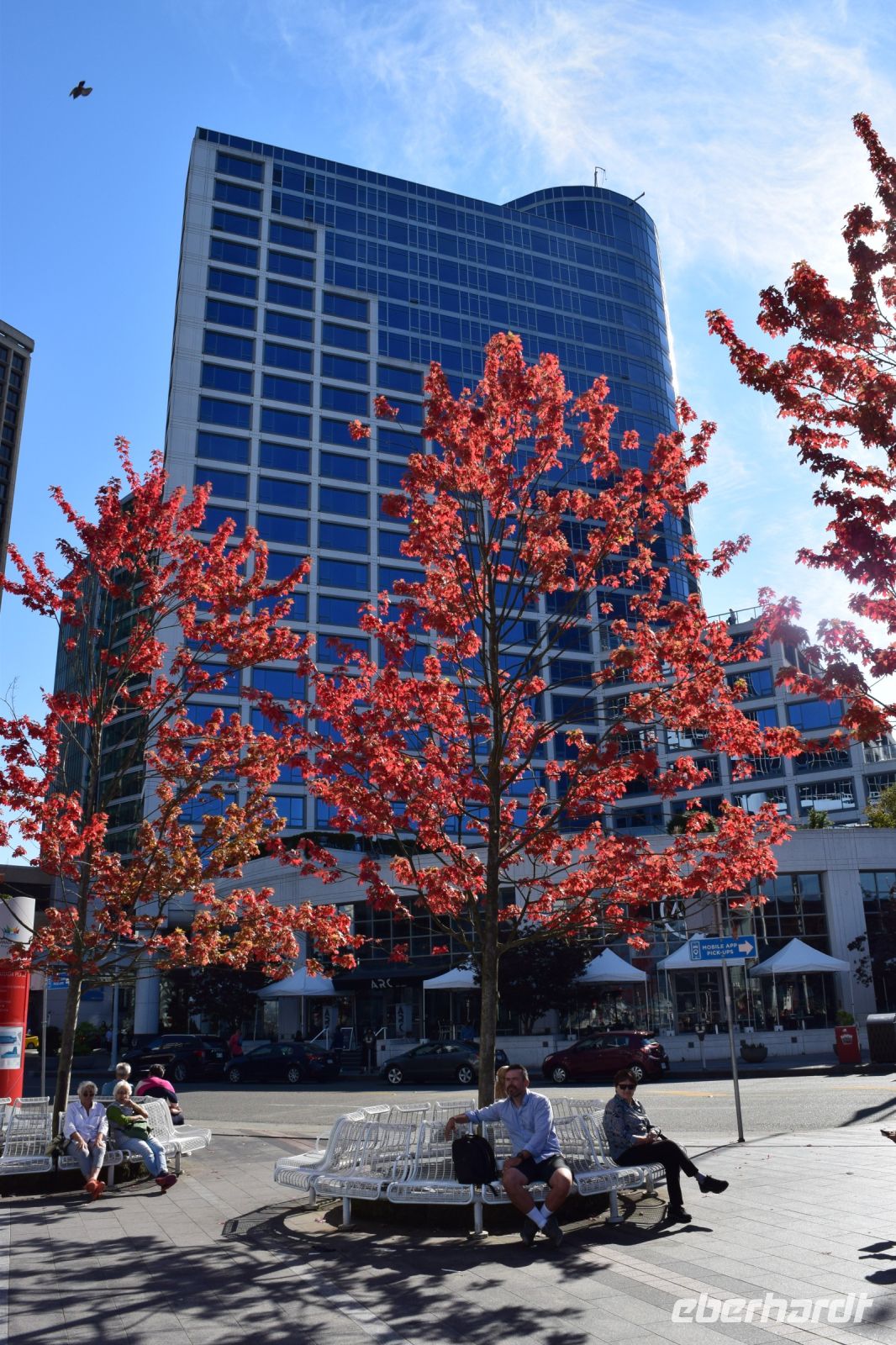Herbststimmung in Vancouver