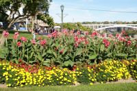 15 Blumenparadies Niagara Falls