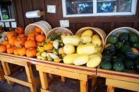 21 Walkers Obstladen