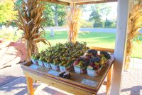 22 Walkers Obstladen