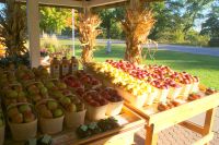 23 Walkers Obstladen