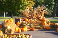 24 Walkers Obstladen