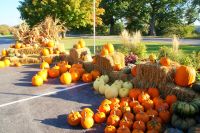 25 Walkers Obstladen