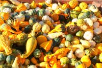 26 Walkers Obstladen