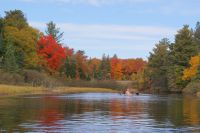 55 Kanu Tour Oxtongue Lake