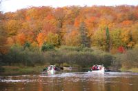 57 Kanu Tour Oxtongue Lake