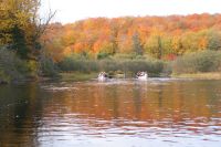 58 Kanu Tour Oxtongue Lake