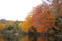 59 Kanu Tour Oxtongue Lake