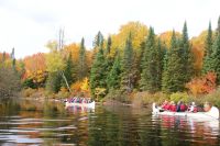 62 Kanu Tour Oxtongue Lake