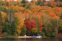 68 Kanu Tour Oxtongue Lake