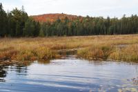 73 Spaziergang am See