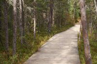 74 Wanderung Indian Summer