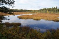 77 Wanderung am See entlang