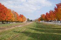 205 Indian Summer