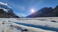 Singlereise Kanada - Athabasca-Gletscher am Columbia Icefield