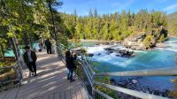 Singlereise Kanada - Reaguard Falls in British Columbia