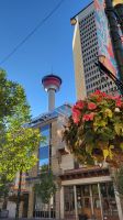 Singlereise Kanada - Calgary Tower