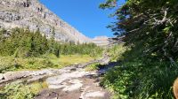 Singlereise Kanada - Glacier Nationalpark in den USA