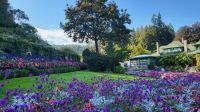 Singlereise Kanada - Butchart Gardens auf Vancouver Island